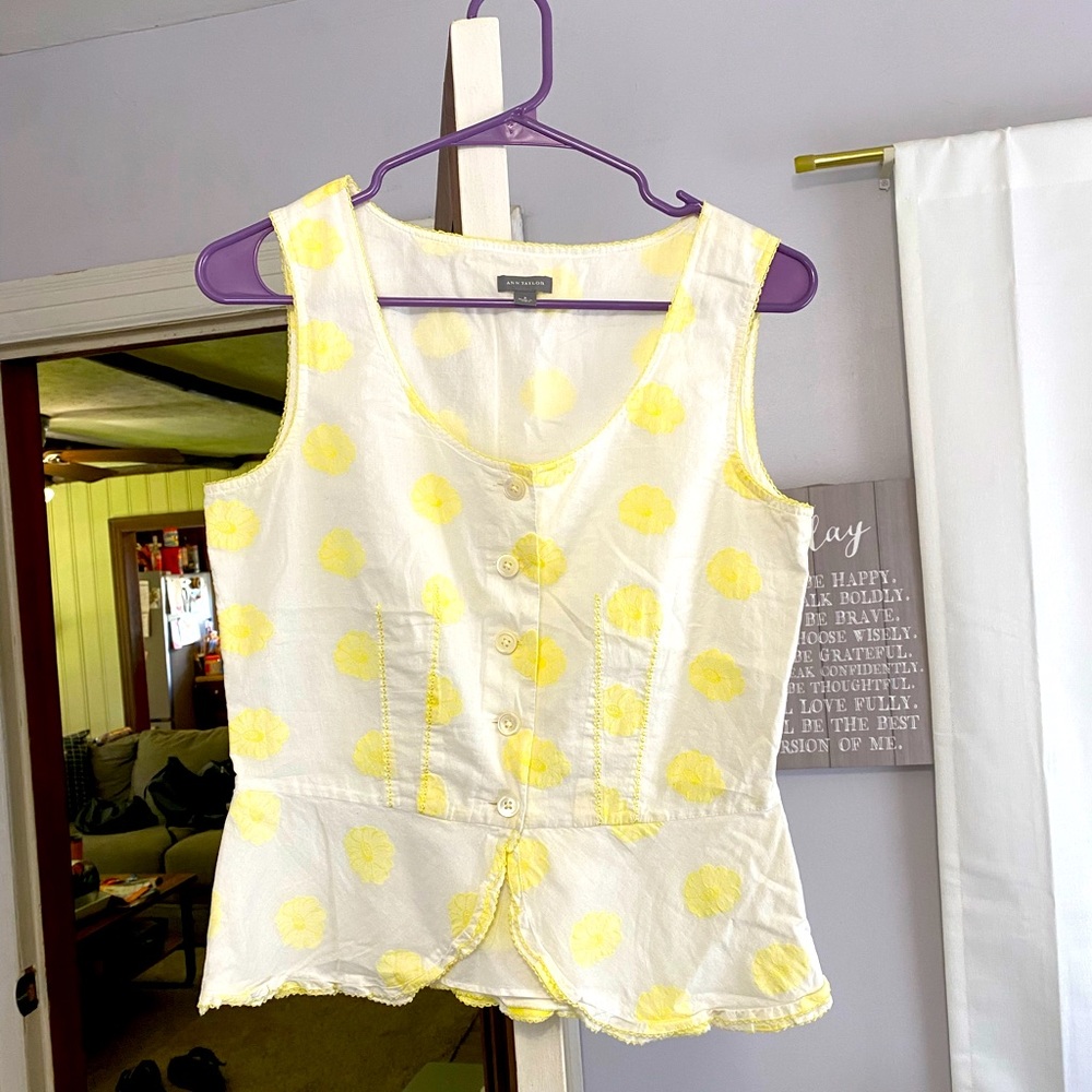 Ann Taylor top